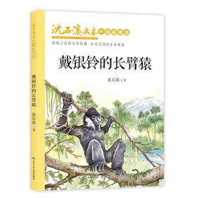 戴银铃的长臂猿/沈石溪画本.中短篇精选 