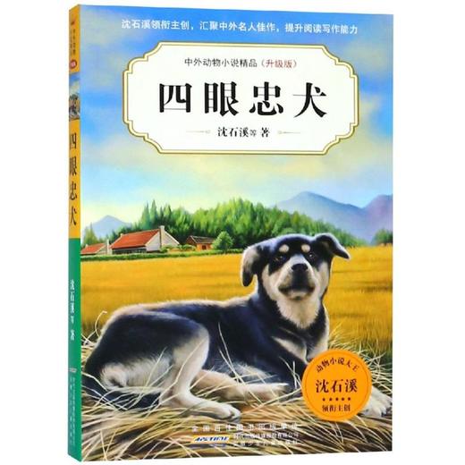 四眼忠犬/中外动物小说精品(升级版第5辑)  商品图0