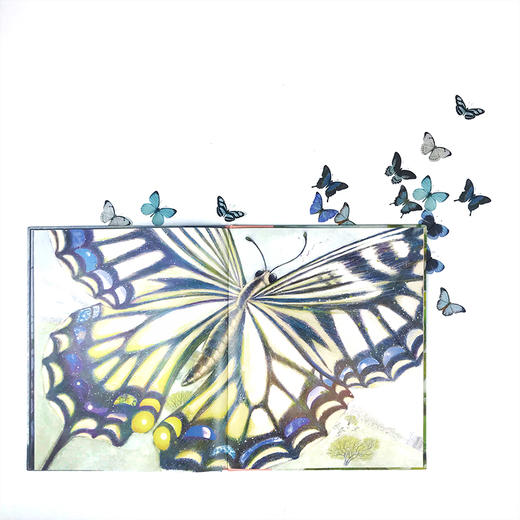 【独秀书香卡】魔法象   燕尾蝶和月亮 〔韩〕张荣福/〔韩〕李惠利/绘   启蒙认知 艺术启蒙 日常认知 自然观察   适合4-6岁  广西师范大学出版社 商品图2