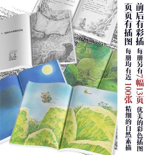 尖尖鼠大冒险(8山尖上的星星湖)  商品图1