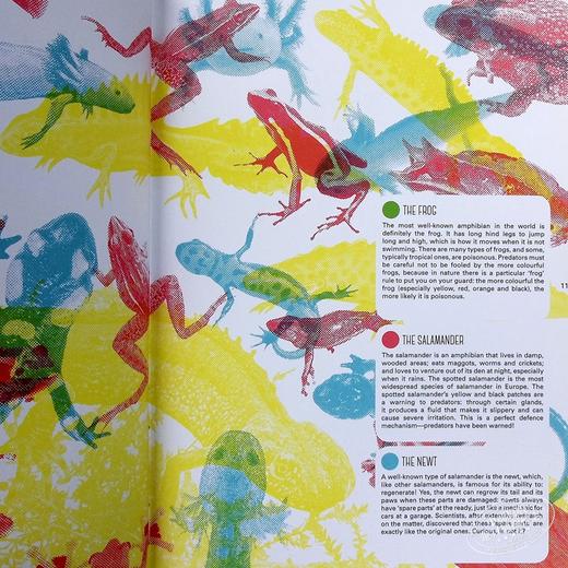【中商原版】Lens Book. Animals 镜头解读：动物 英文原版儿童科普 商品图4