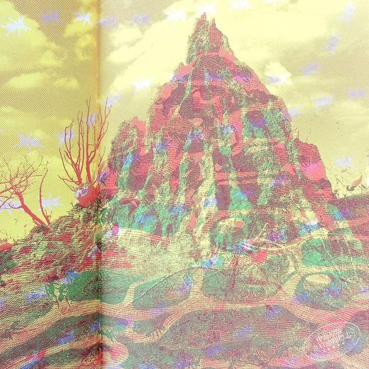 【中商原版】Lens Book. Animals 镜头解读：动物 英文原版儿童科普 商品图5