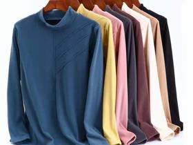 竹纤维女士德绒立领拼接打底衫2040