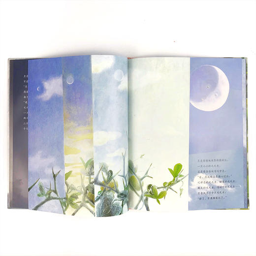 【独秀书香卡】魔法象   燕尾蝶和月亮 〔韩〕张荣福/〔韩〕李惠利/绘   启蒙认知 艺术启蒙 日常认知 自然观察   适合4-6岁  广西师范大学出版社 商品图3
