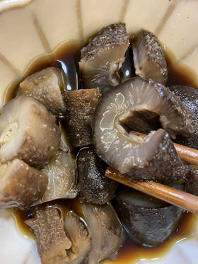  养生食材——海参