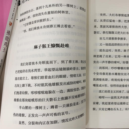 雄猴的战争  商品图3