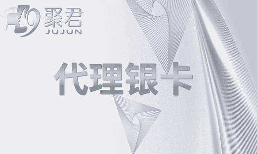 铜卡、银卡、黄金卡、铂金卡代理续充【专拍链接】 商品图1