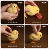 韩国正版mimiworld家有小萌鸡养成过家家女孩公主宠物儿童玩具60001 商品缩略图2