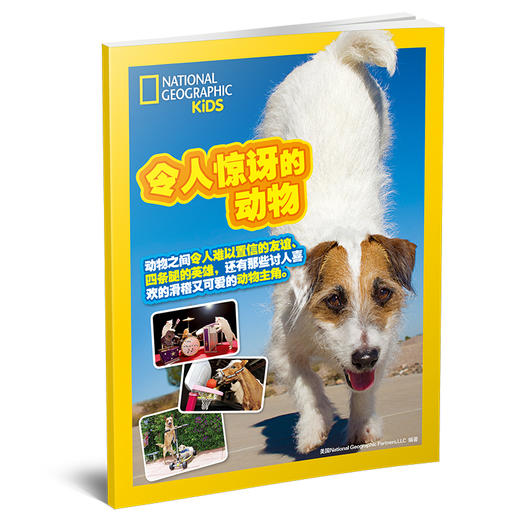 令人惊讶的动物  商品图1