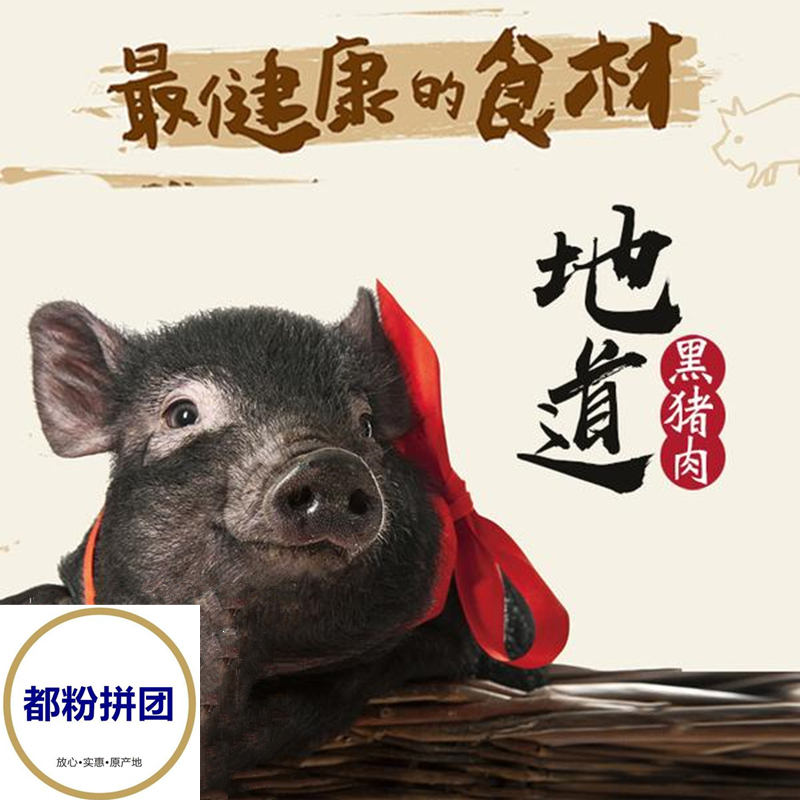 「山东团」跑山猪黑猪肉（鲜肉）顺丰冷链