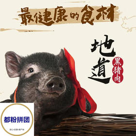 「山东团」跑山猪黑猪肉（鲜肉）顺丰冷链