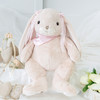 伽百利毛绒玩具/大露比大肉粉色丝带兔/55CM/W990礼物公仔陪伴玩偶 商品缩略图2