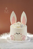 小兔子乖乖🐰 商品缩略图0