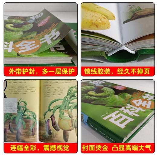 儿童植物百科全书  商品图1