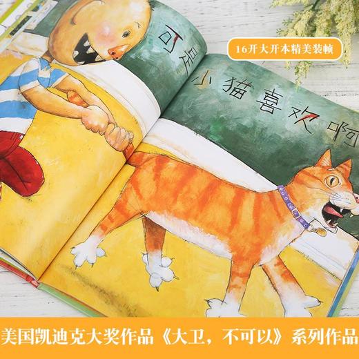 【凯迪克大奖绘本】大卫惹麻烦 3-8岁精装绘本幼儿图画书 商品图4