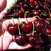 车厘子 商品缩略图2
