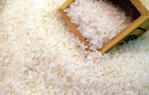 百佳禾东北大米 10斤装 商品图0