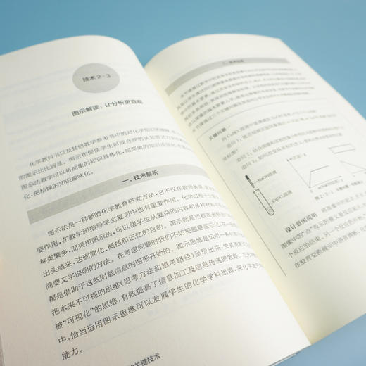 高阶思维教学的关键技术 核心素养导向的课堂教学丛书 高阶思维培育 正版 华东师范大学出版社 商品图3