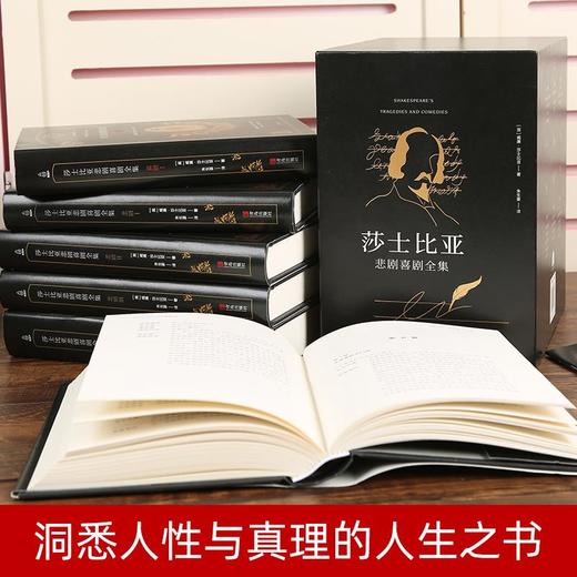 莎士比亚悲剧喜剧全集（套装共6册）世界文学经典皇冠 11-18岁儿童文学 商品图3