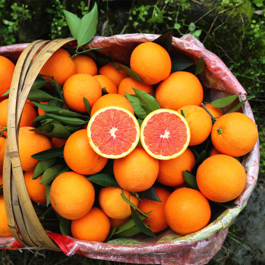 湖北【秭归中华红橙】 红肉香甜可口 细嫩化渣多汁  颜值与美味并存 每一口都汁水四溢！ 商品图2