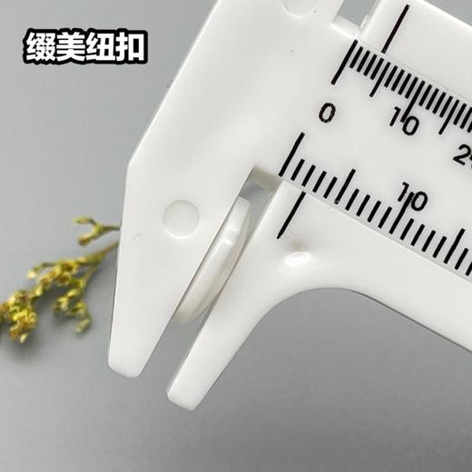 S1955(整包购买) 商品图6