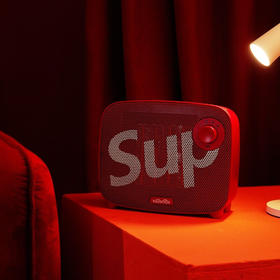 Wildwood-室内加热器