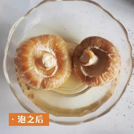 丨生态丨河南泌阳花菇（香菇） 国家地理标志产品 商品图3