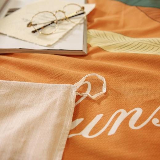 CHT-60支纯棉磨毛四件套 商品图3