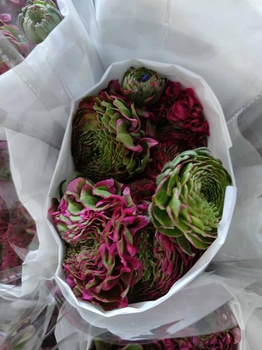 洋牡丹·锦鲤 商品图3