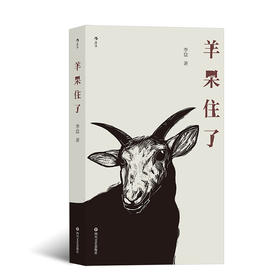 羊呆住了 现代小说李盆著作 八十九篇作品展现了当代中文写作手法 现代小说书籍