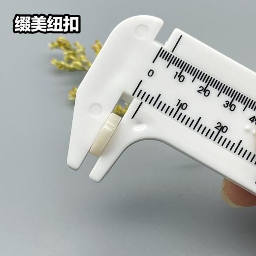 S4177再生扣(整包购买) 商品图6