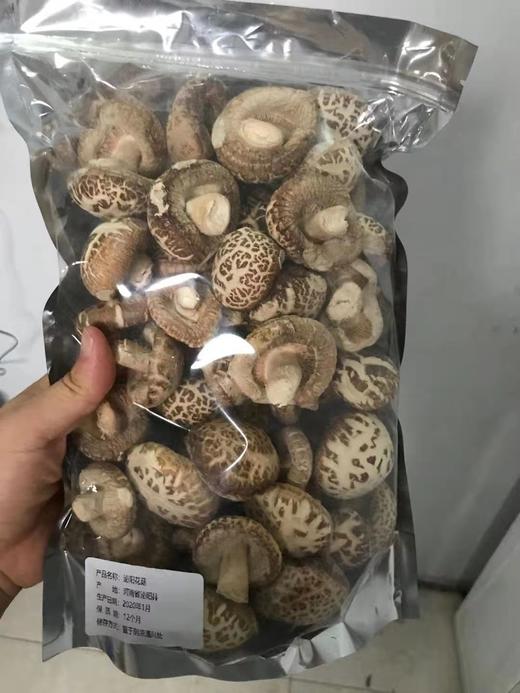 丨生态丨河南泌阳花菇（香菇） 国家地理标志产品 商品图9