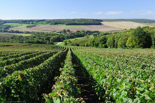 Francis Boulard & Fille Rosé de Saignée  馥白兰浸皮桃红香槟 2015 商品图2