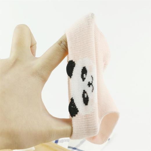 【19元6双】1-3岁丨小小童了立体卡通精梳棉短袜【813202】 商品图2