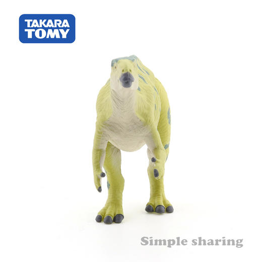 安利亚-ANI-155171福井龙 商品图3