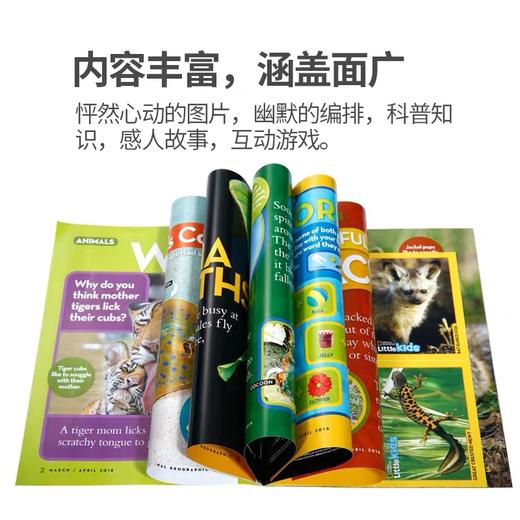 【3级别可选】美国国家地理幼儿版/儿童版/成人版 National Geographic Little Kids/Kids 开学季订阅福利 商品图2