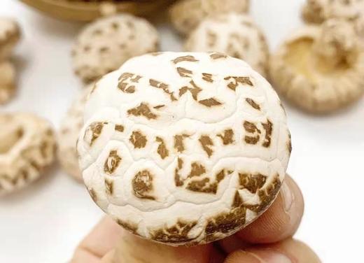 丨生态丨河南泌阳花菇（香菇） 国家地理标志产品 商品图1