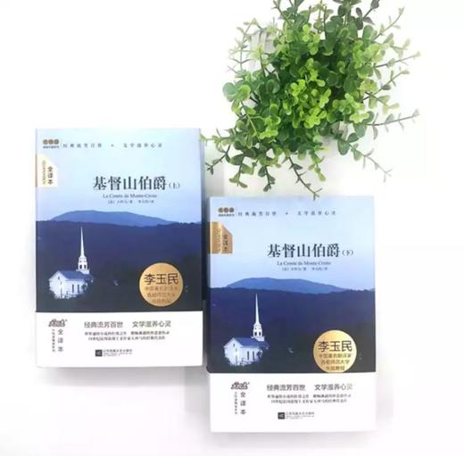 【基督山伯爵（上、下册）】 初高中生阅读 世界名著 大悦读精装 商品图1
