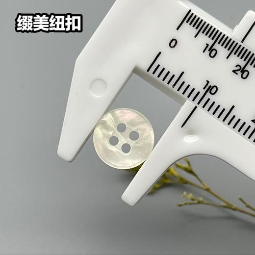 S2291(整包购买) 商品图3