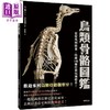 【中商原版】鸟类骨骼图鉴 从驼鸟到麻雀 收录145种珍贵鸟类标示 港台原版 川上和人 台湾东贩 自然科普 商品缩略图0