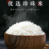 华润五丰优选东北珍珠大米5kg(T)（T） 商品缩略图2