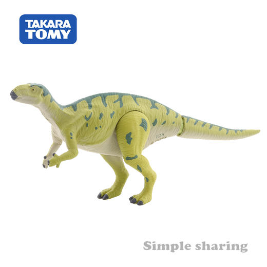 安利亚-ANI-155171福井龙 商品图2