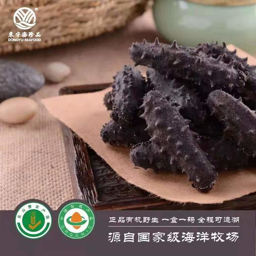 海参淡干 野生双有机 刺参 免费泡发 商品图0