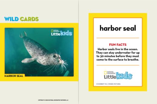 【3级别可选】美国国家地理幼儿版/儿童版/成人版 National Geographic Little Kids/Kids 开学季订阅福利 商品图6