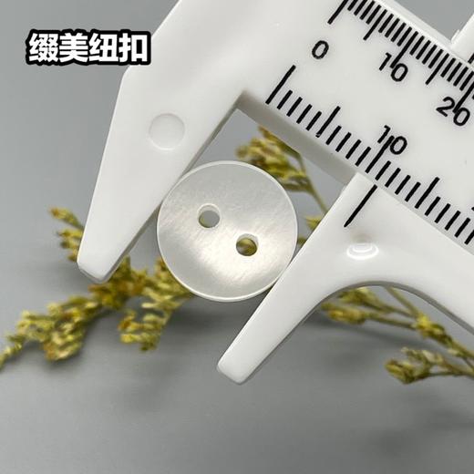 S2898(整包购买) 商品图3