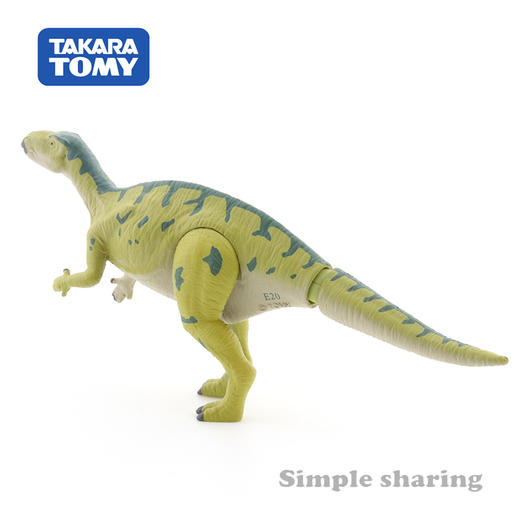 安利亚-ANI-155171福井龙 商品图4