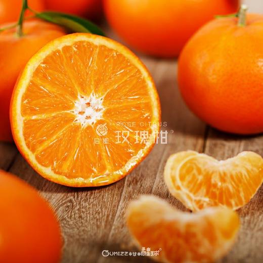 【京东发货】广州玫瑰柑水果礼盒 施用玫瑰花有机肥  皮薄肉厚 饱满多汁 高端年货水果礼盒 产地现摘现发 商品图0