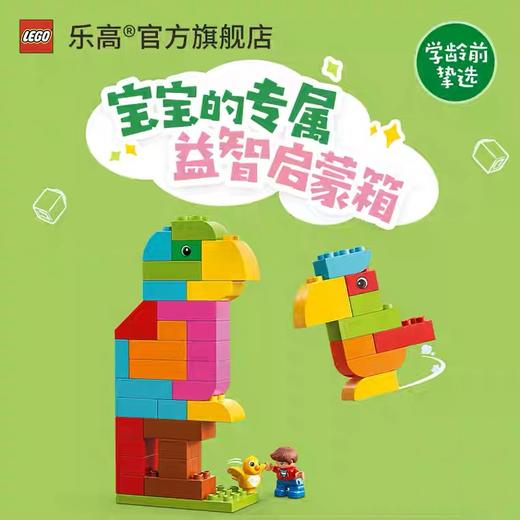 乐高得宝系列10887我的自由创意趣玩箱 商品图2