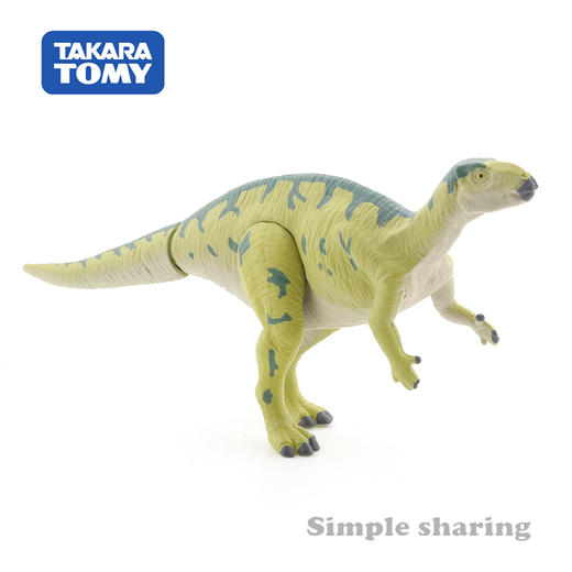 安利亚-ANI-155171福井龙 商品图1