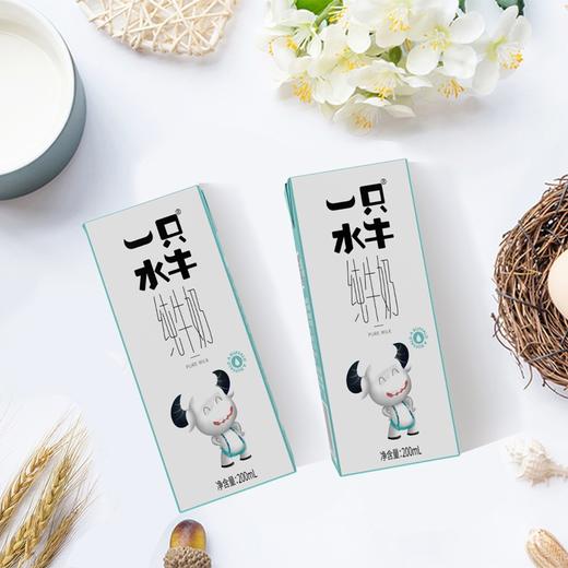 皇氏一只水牛纯牛奶 200ml*10盒/箱 商品图3